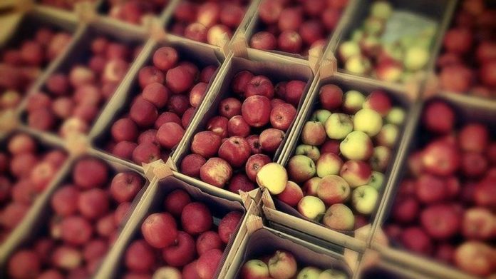 fruit-111929_960_720.jpg