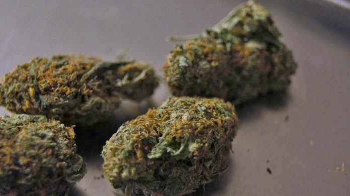 marijuana-1414002_960_720.jpg