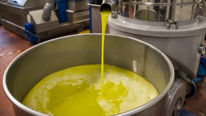 Olive agro alimentare