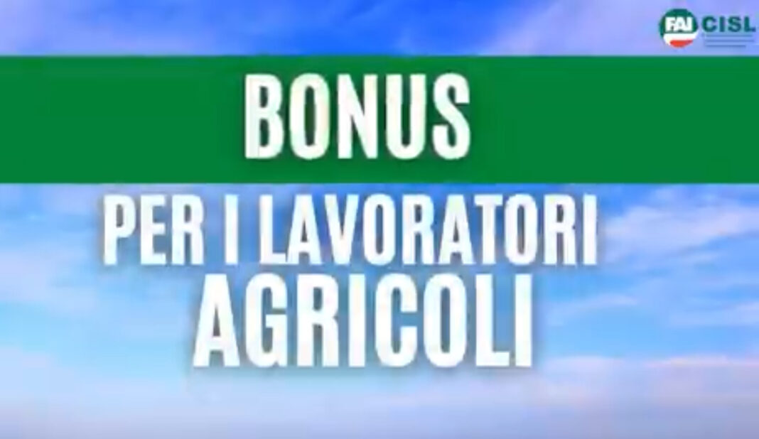 Bonus Braccianti agricoli nel Decreto Sostegni bis a breve incontro al