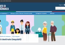 Reddito cittadinanza