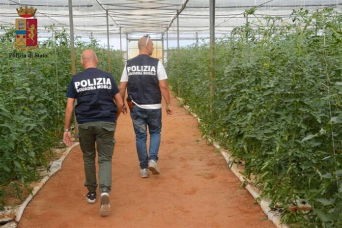 Agricoli controlli