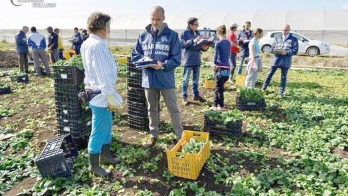 Agricoli controlli caporalato