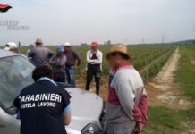 Caporalato controlli