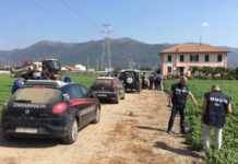 Braccianti agricoli controlli