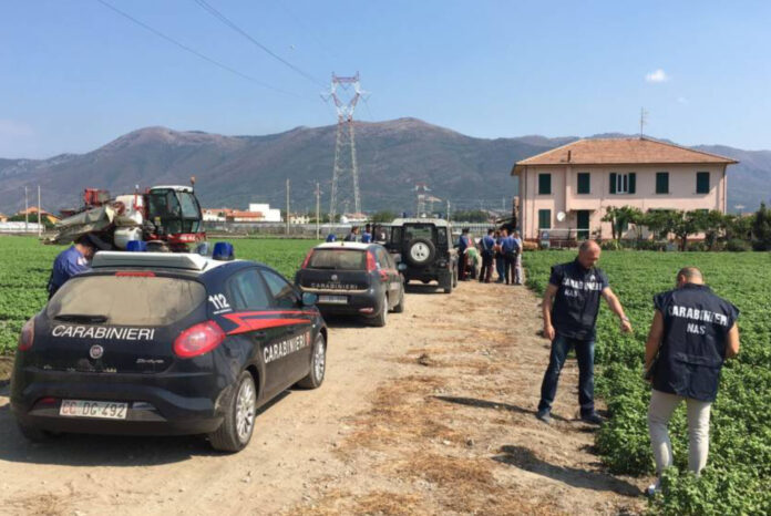 Braccianti agricoli controlli