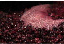 Mosto agricolutura agricoli