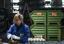 Operaia donna pensione