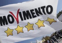 M5s