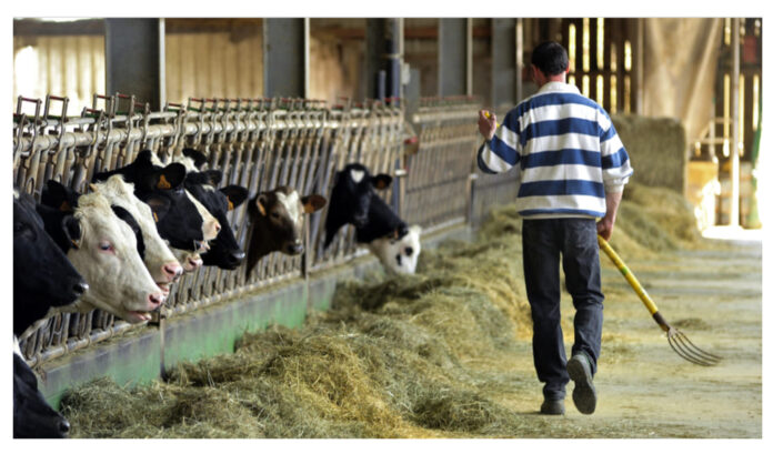 Allevatori agricoli