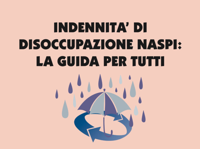 Guida naspi