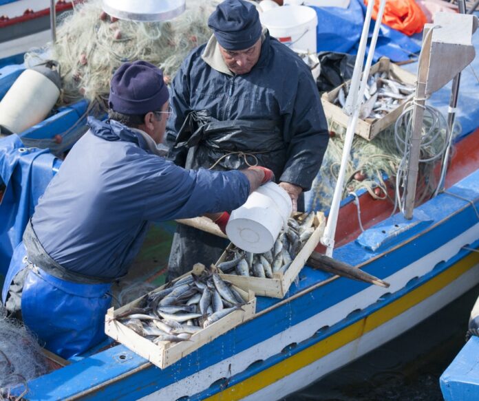 Pesca