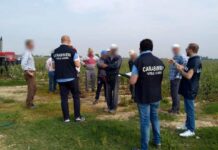 Agricoltura, Blitz nelle Vigne: Lavoro Nero, Chiusure e Maxi Multe in tutta Italia Agricoli