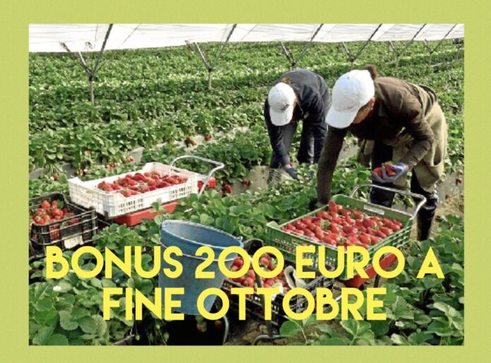 Agricoli