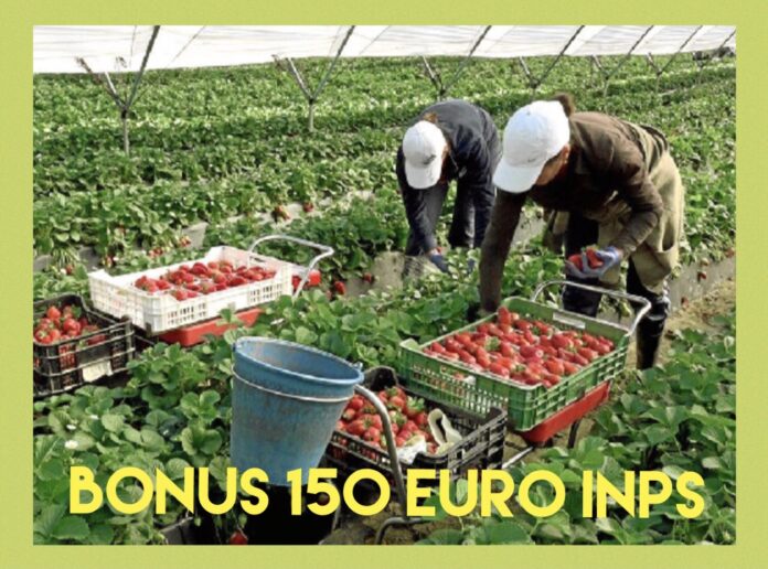 Bonus 150 euro Braccianti agricoli, quando arriva? TuttoLavoro24