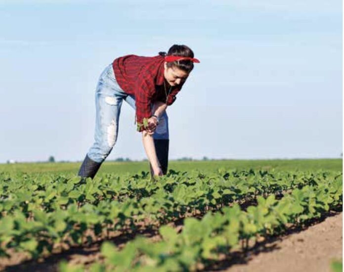 Agricoli