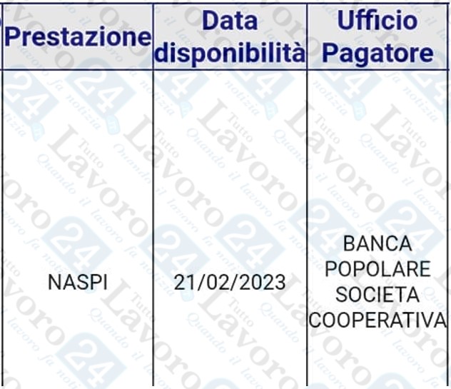 naspi febbraio 2023