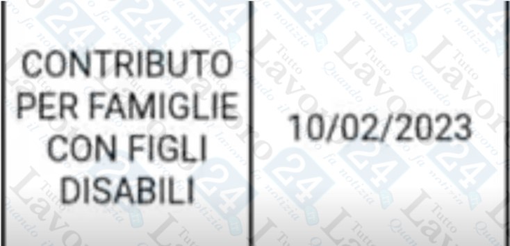 bonus figli disabili