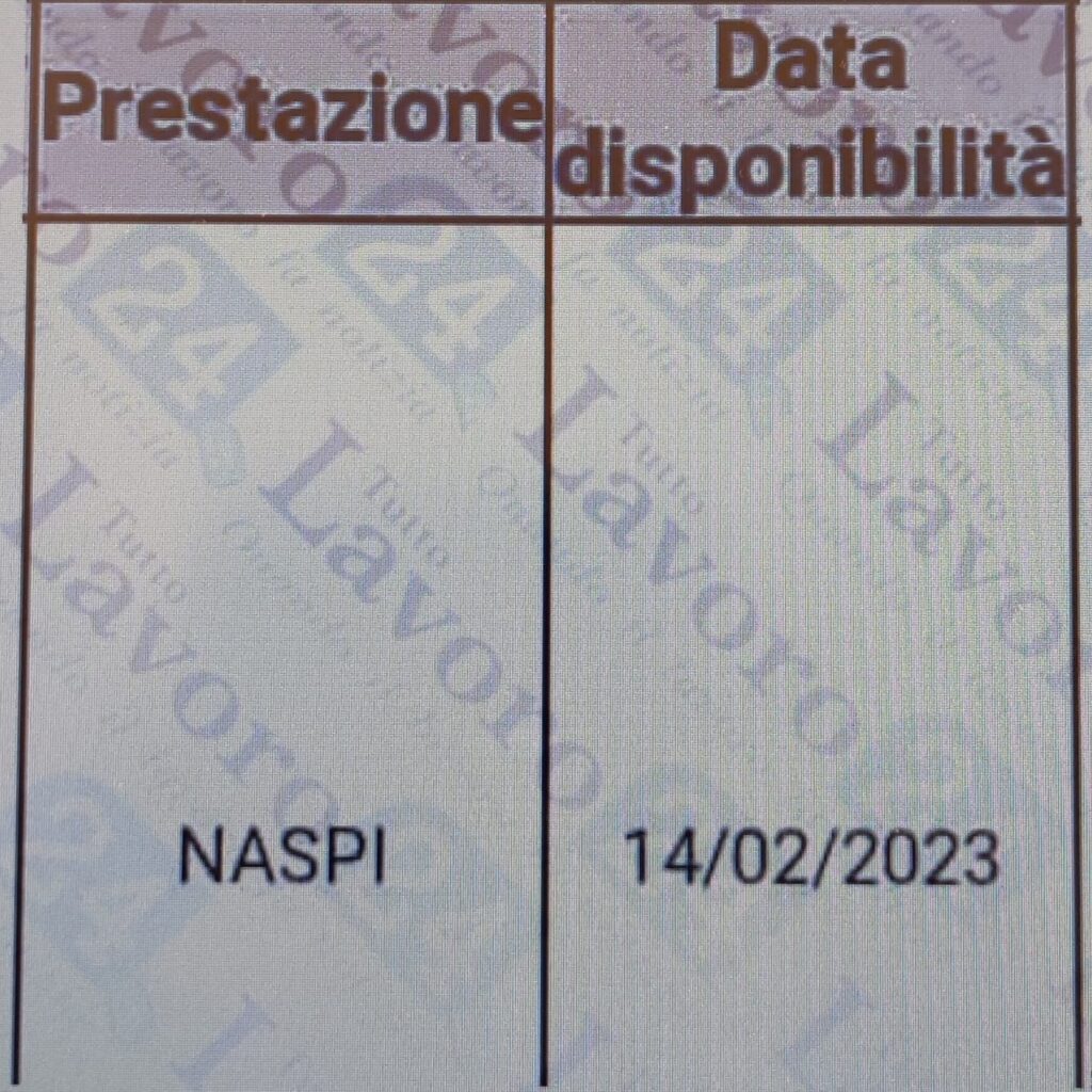 naspi febbraio 2023