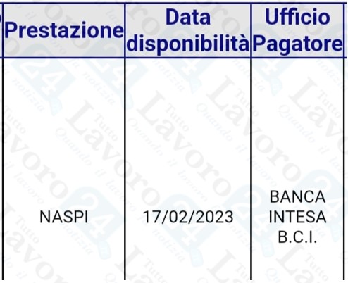 naspi febbraio 2023