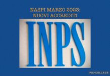 NASPI