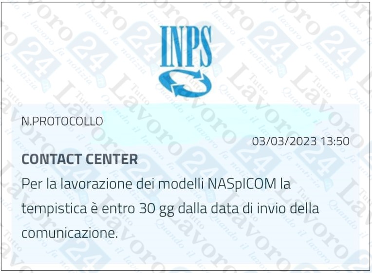 modello naspi-com