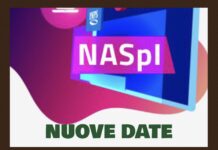 NASPI