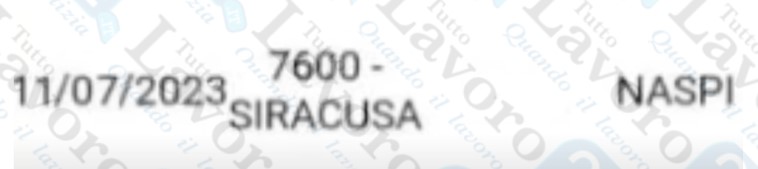 naspi luglio 2023