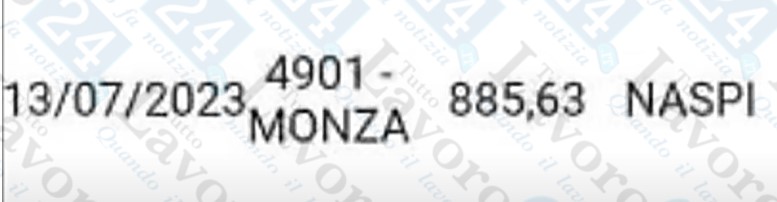 naspi luglio 2023