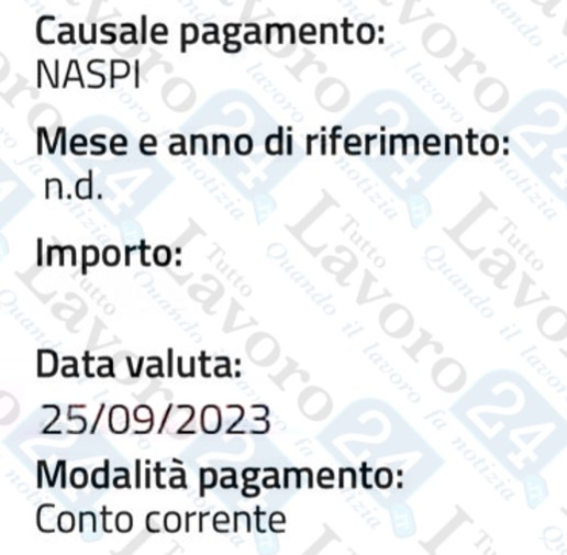 naspi settembre 2023
