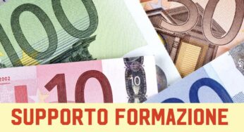 SFL 350 euro, da marzo controlli e pagamenti interrotti