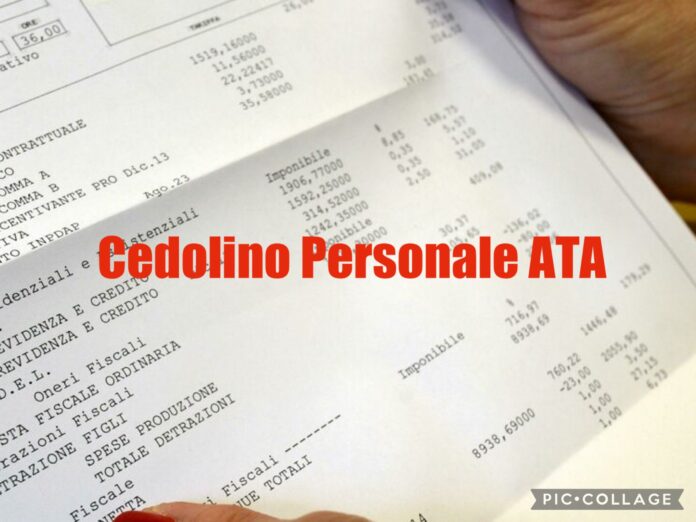 Cedolino