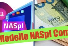 Naspi com