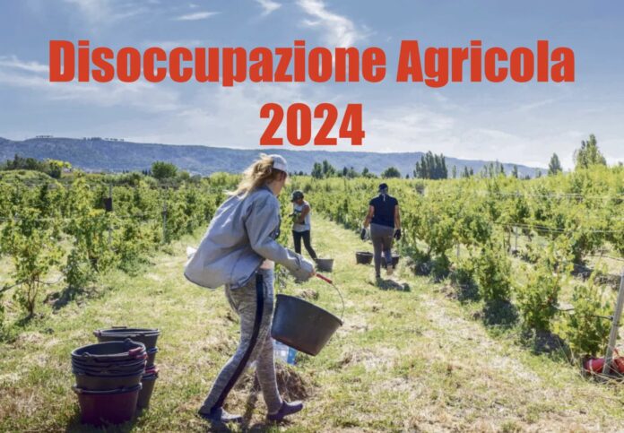 Agricoli