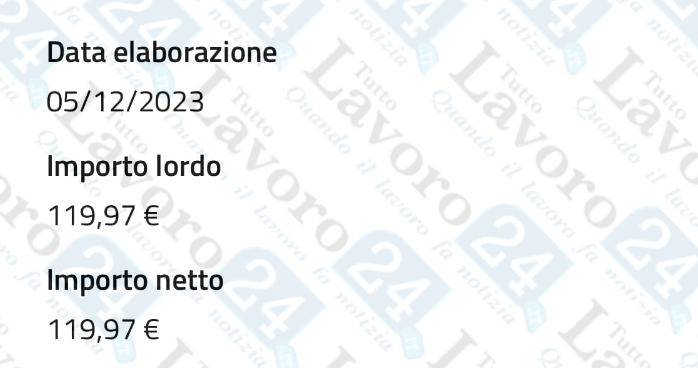 lavorazioni naspi dicembre 2023