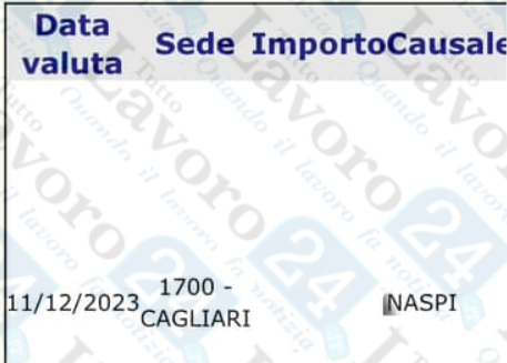 naspi dicembre 2023