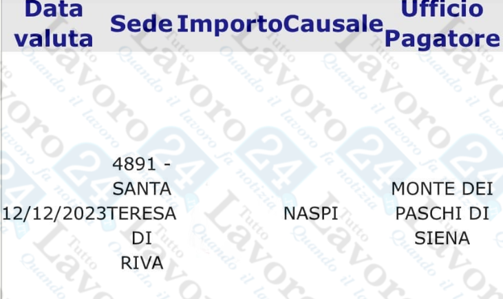 naspi dicembre 2023