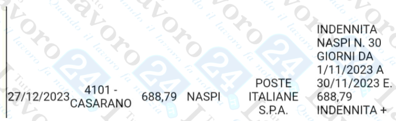 naspi dicembre 2023