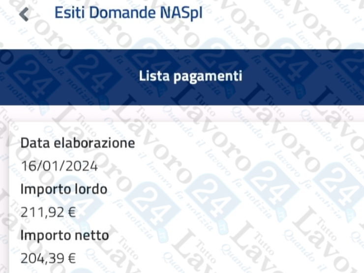 naspi gennaio