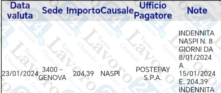 naspi gennaio