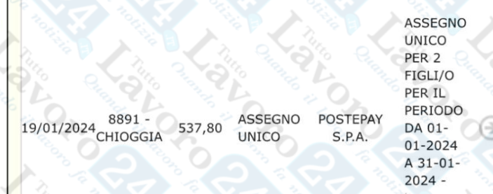 assegno unico
