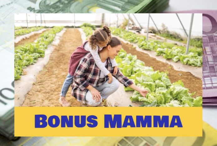 Bonus