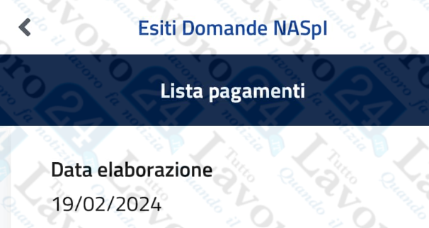 lavorazioni naspi