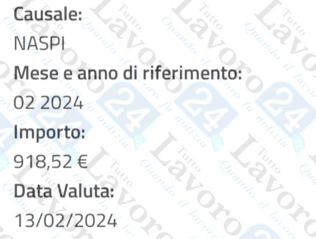 naspi febbraio 2024