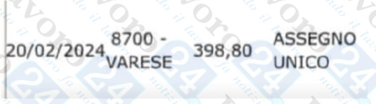assegno unico