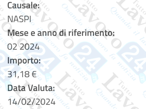 naspi