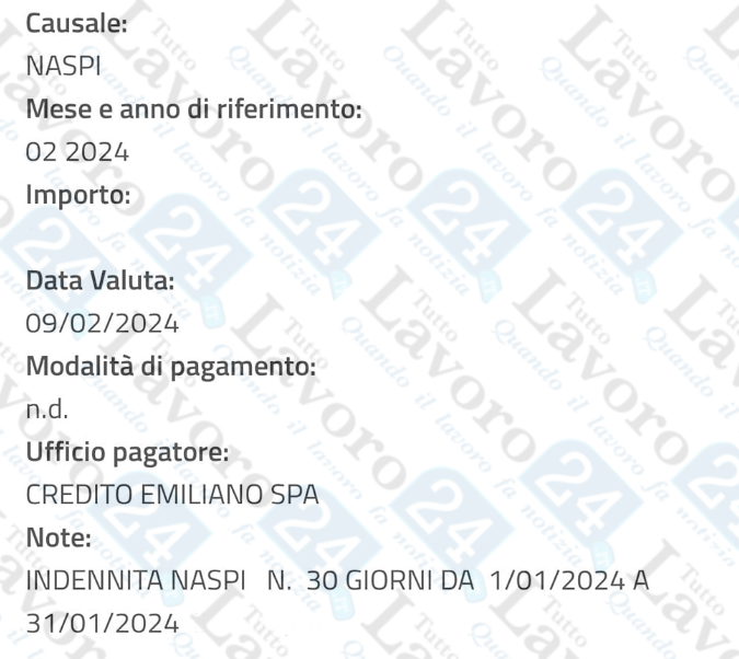 naspi febbraio 2024