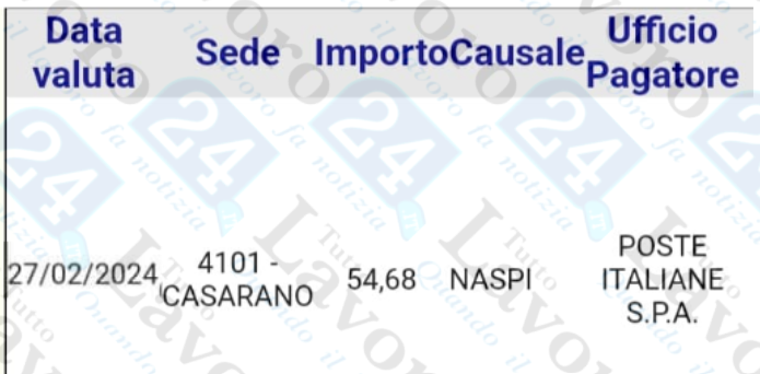 naspi