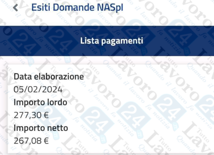 naspi febbraio 2024