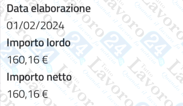 naspi febbraio 2024